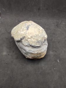 Nodule Pyrite 359 Gr France