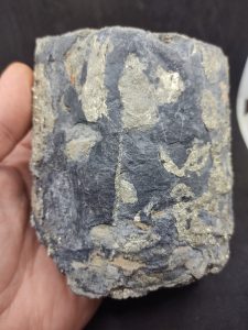 Tronc de Pyrite 1,3 Kg France