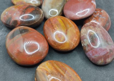 Galet de Bois Fossilisé 40 Gr