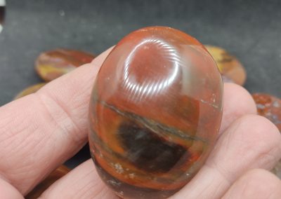 Galet de Bois Fossilisé 40 Gr